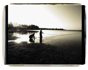 907054netfishermanbdp1620