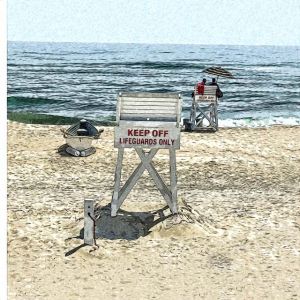 9971lifeguard1postedge14x14pickpb.jpg